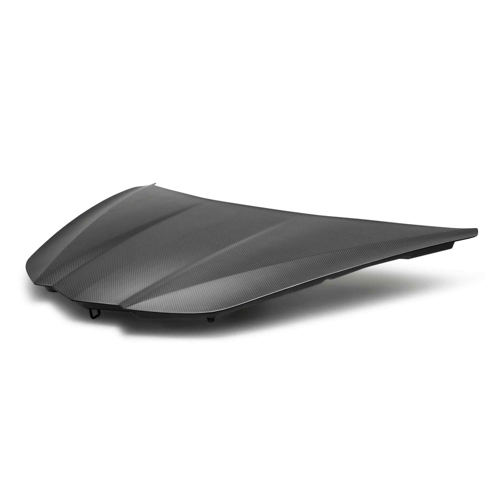Type-OE Dry Carbon Fiber Hood