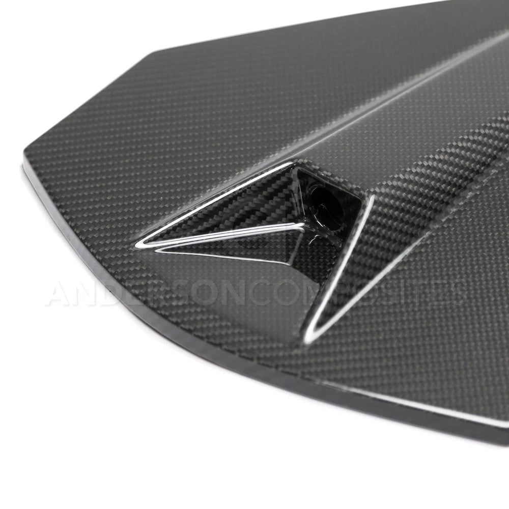 Carbon Fiber Doors