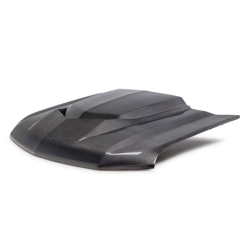 Type-AZ Carbon Fiber Hood