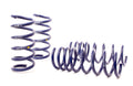 RS-R Lowering Springs