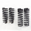 Down Sus Lowering Springs