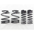 RS-R Coil Spring Set