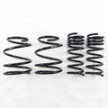 RS-R Coil Spring Set