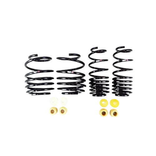 Down Sus Lowering Springs