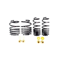 Down Sus Lowering Springs