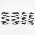 RS-R Down Sus Lowering Springs