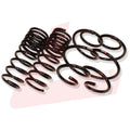 Down Sus Lowering Springs