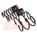 Down Sus Lowering Springs