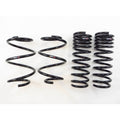 Down Sus Lowering Springs