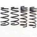 RS-R Lowering Springs