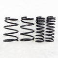 RS-R Down Sus Lowering Springs