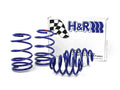 Lowering Springs