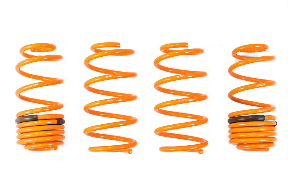 Performance Lowering Springs