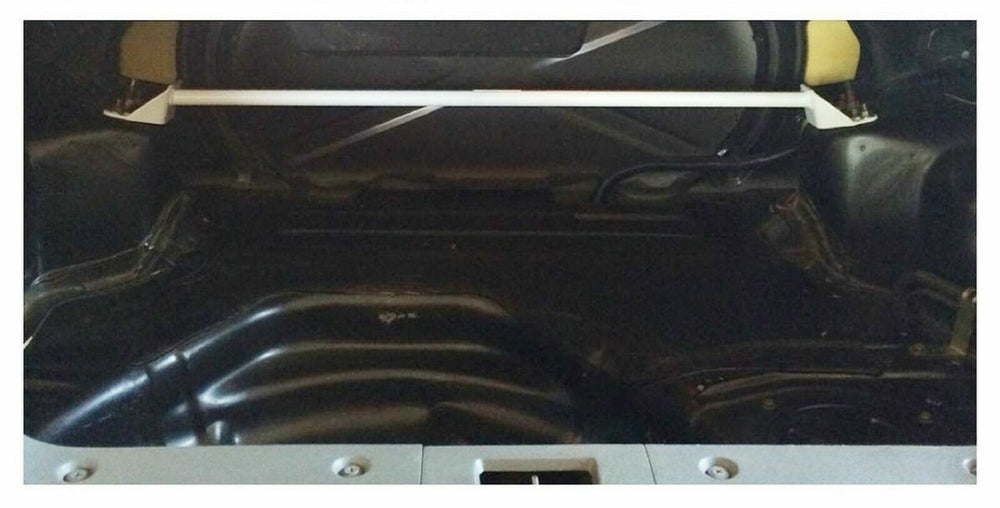 Trunk Brace