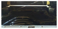 Trunk Brace