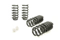 Pro-Kit Lowering Springs