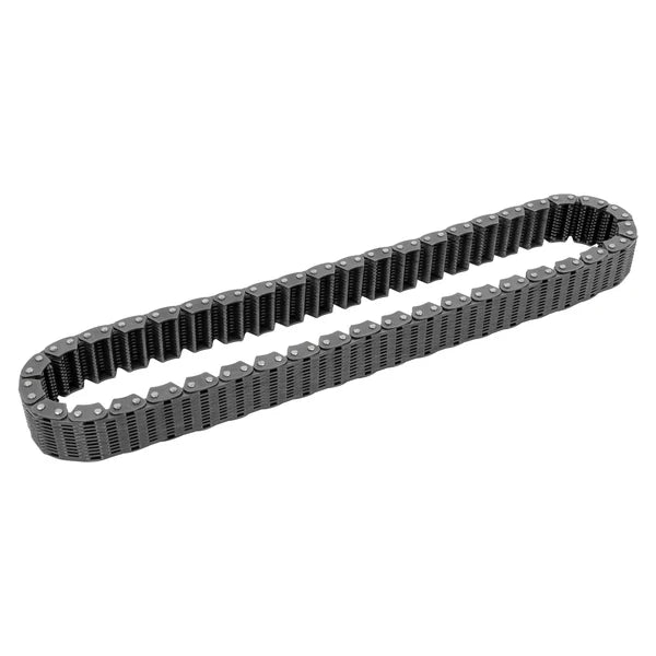 BW4407 Transfer Case Drive Chain