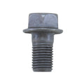 Ring Gear Bolt 3/8" x 24 Steel Hex Head