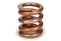 Swift Springs Bump Spring