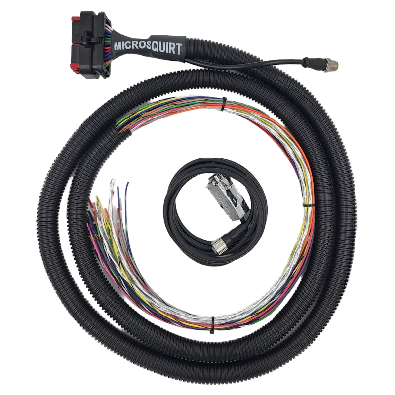 MicroSquirt Flying Lead Wiring Harness