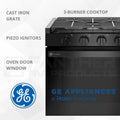 GE PROFILE 21" DROP-IN GAS RANGE, B