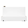 STEEL TRANSFER TANK, 100 GALLON, L-