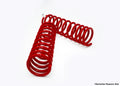 Dobinsons Spring Suspension COIL SPRINGS PAIR (RED) C97-484VTR