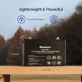 12V 100AH SMART LIFEPO4 BATTERY