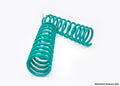 Dobinsons Spring Suspension COIL SPRINGS PAIR C19-438