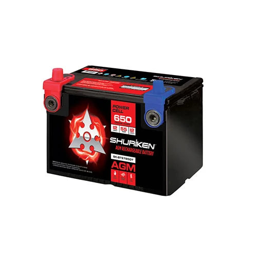 650 CRANK AMPS 55 AMP HOUR DUAL POST AGM BATTERY