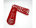 Dobinsons Spring Suspension COIL SPRINGS PAIR C59-254