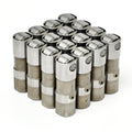 LS7 Hydraulic Roller Lifter Set