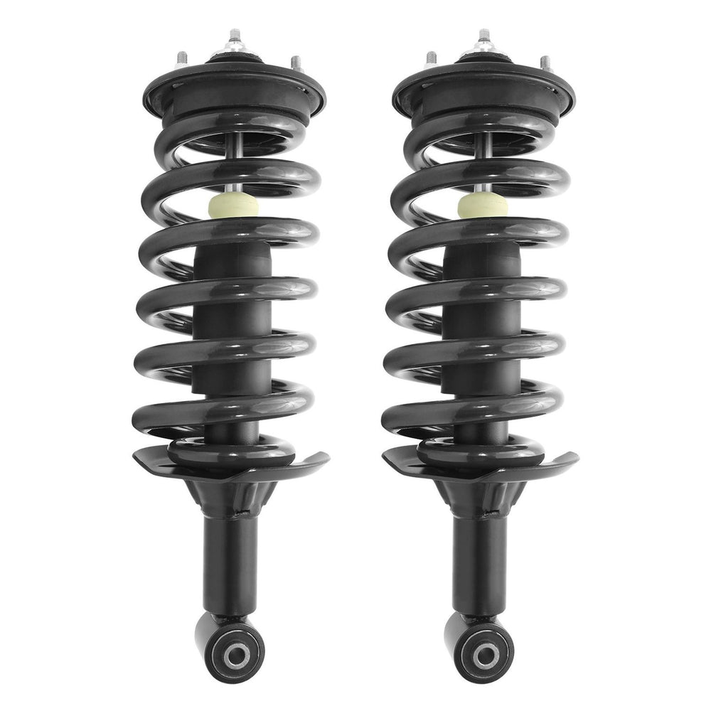Unity Automotive 2 Rear Complete Struts Assemblies 31-573000