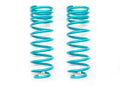 Dobinsons Spring Suspension COIL SPRINGS PAIR C29-229V