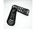 Dobinsons Spring Suspension COIL SPRINGS (BLACK) C59-300B