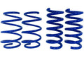 Lowering Springs