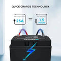 24V 25AH DEEP CYCLE LIFEPO4 BATTERY
