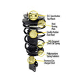 Unity Automotive 2 Front Complete Strut Assemblies 2 Rear Shock Absorbers 4-11633-255030-001