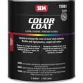 COLOR COAT - SILVER