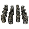 1.540 Dual Valve Spring Set w/Damper 16pk