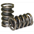 1.540 Dual Valve Spring Set w/Damper 16pk