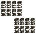1.465 Dual Valve Spring Set 16pk