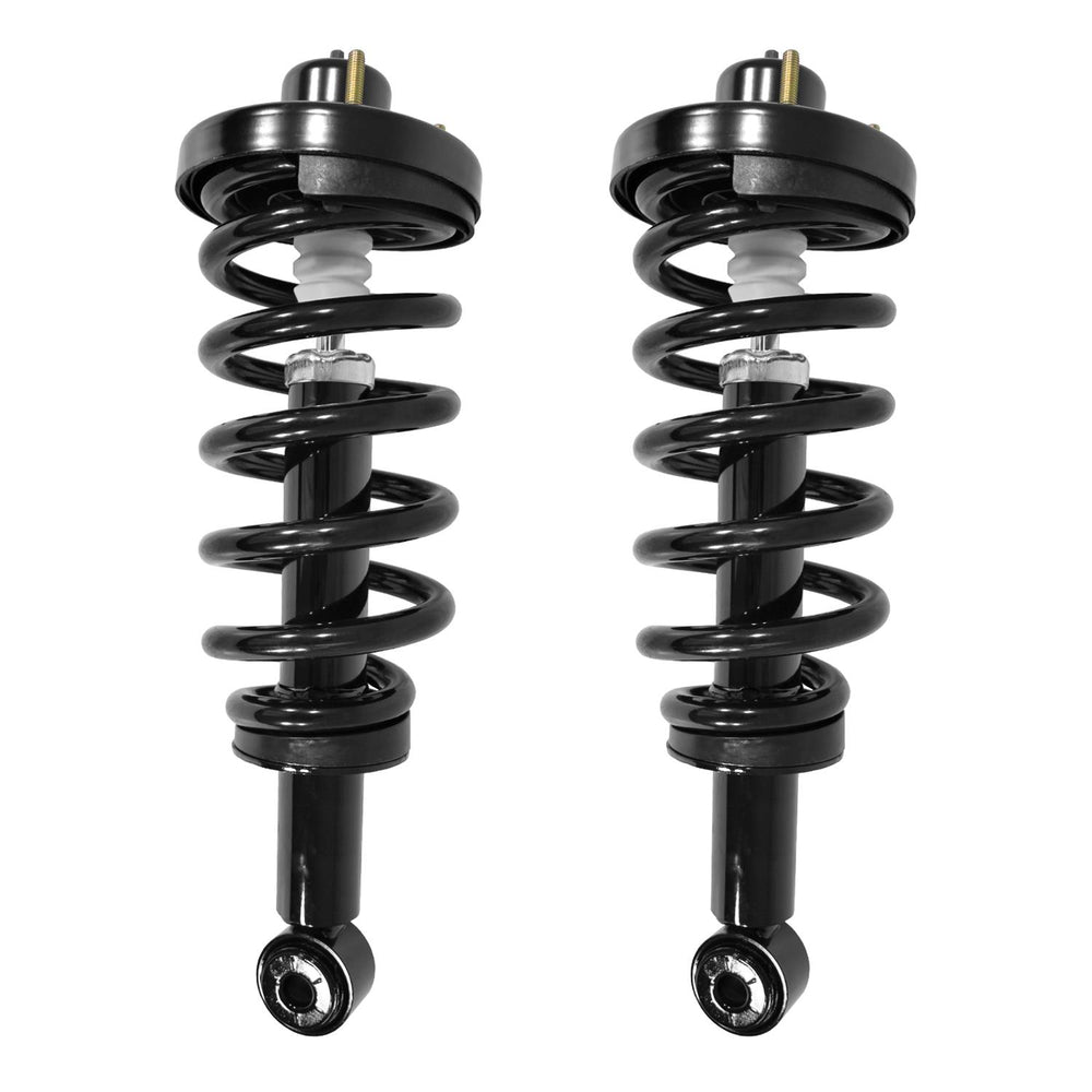 Unity Automotive 2 Rear Complete Strut Assemblies 2-15410-001