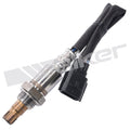 DUCKBILL INSERT ASA