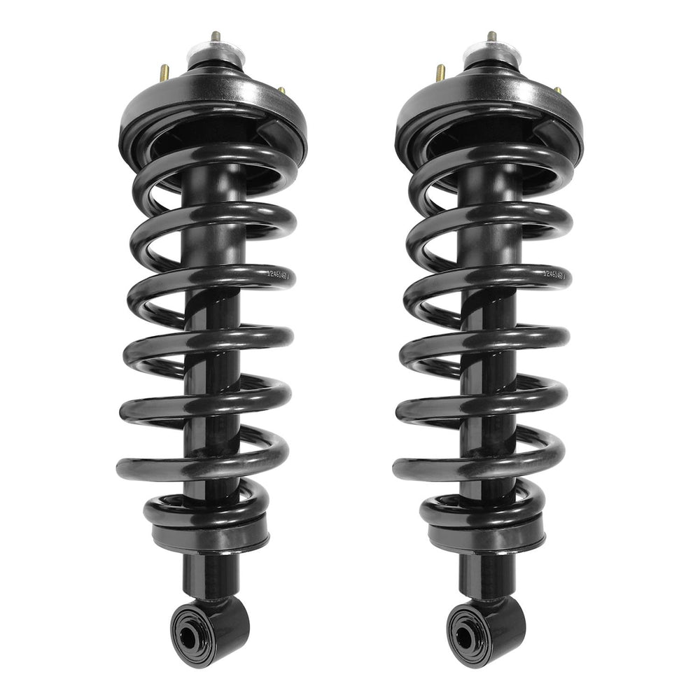 Unity Automotive 2 Rear Complete Strut Assemblies 2-15400-001