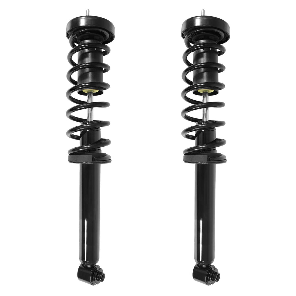 Unity Automotive 2 Rear Complete Strut Assemblies 2-15950-001