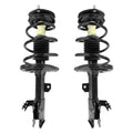 Unity Automotive 2 Front Complete Strut Assemblies 2-11693-11694-001