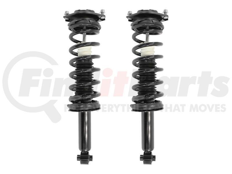 Unity Automotive 2 Rear Complete Strut Assemblies 2-16100-001