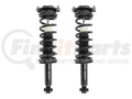 Unity Automotive 2 Rear Complete Strut Assemblies 2-16100-001