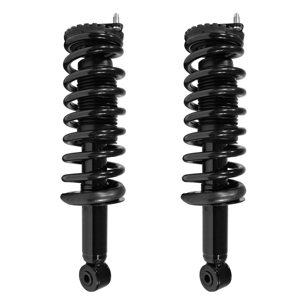Unity Automotive 2 Rear Complete Strut Assemblies 2-15850-001